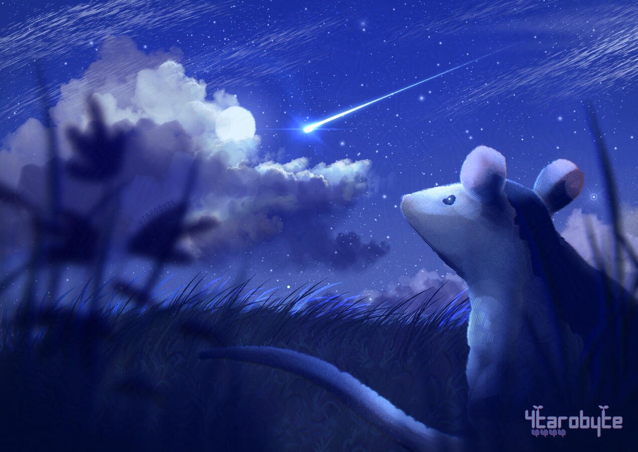 Possum’s Wish (2024)